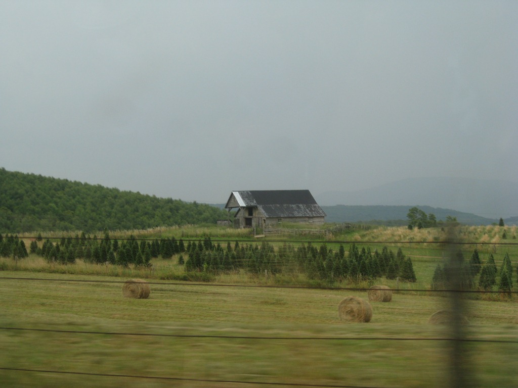 [IMG_8908%255B3%255D.jpg]
