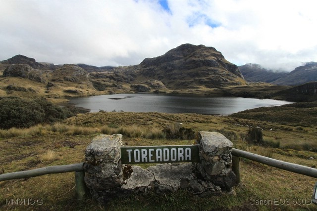 [IMG_3335%255B4%255D.jpg]