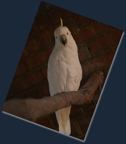PB143237 PB143237