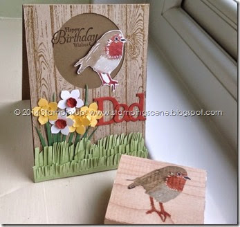 stampin up undefined robin spring card