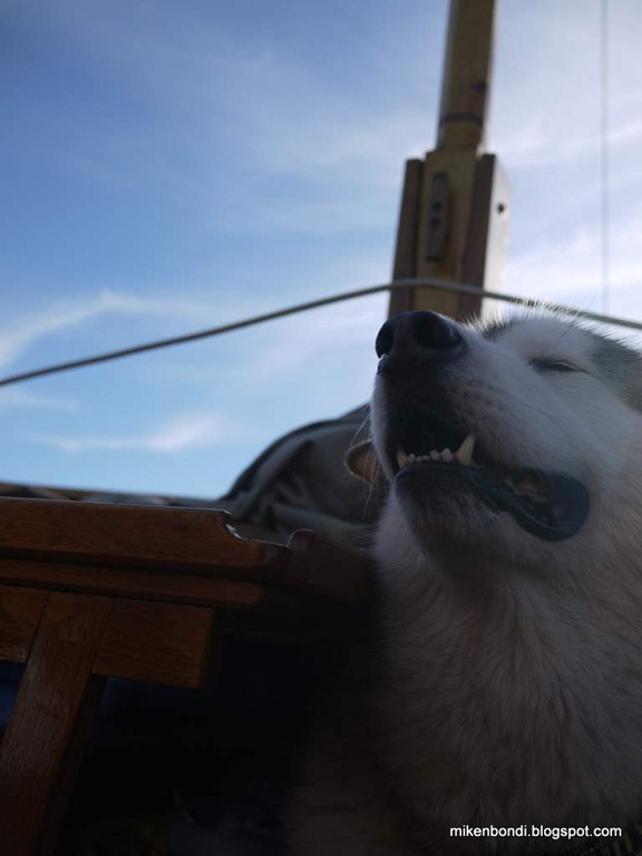 [Munson%2527s%2520nautical%2520bliss%255B15%255D.jpg]