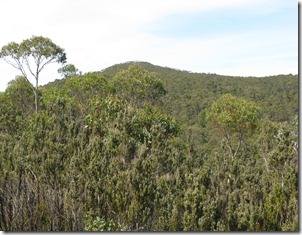 Mount Patrick from start of route