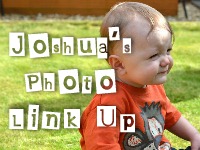 photozbt photozbt