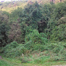 DSC_0313.JPG