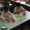 BILD0155.JPG