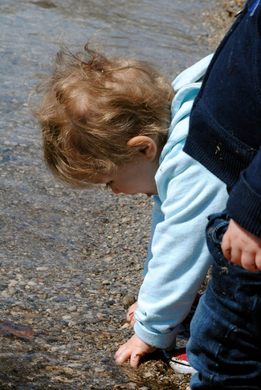 DSC_0029.jpg DSC 0029