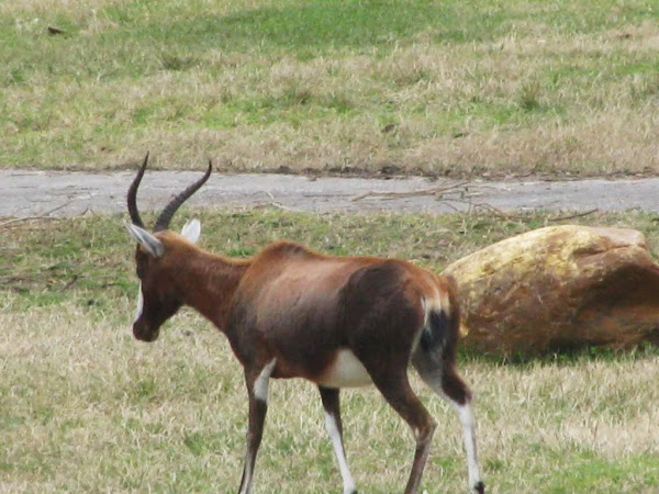 IMG_3990.jpg