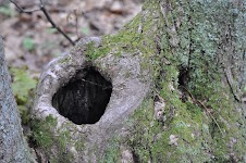 DSC_0010.JPG