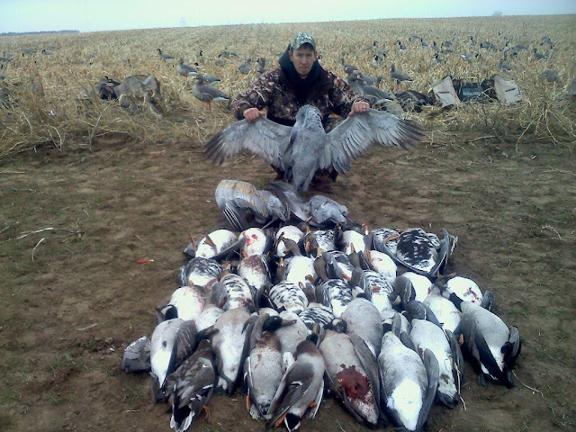 40 bird 2.jpg