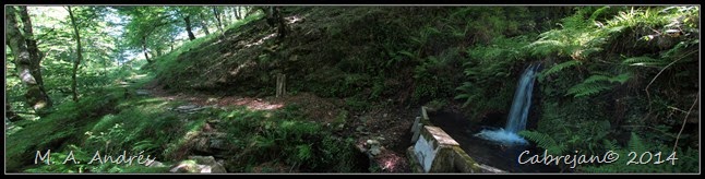 pano7 pano7