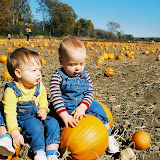Basse's Pumpkin Farm