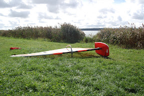 DSC_0423.JPG
