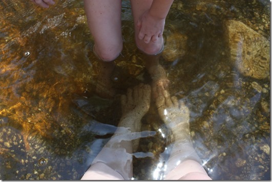 sabino canyon 088