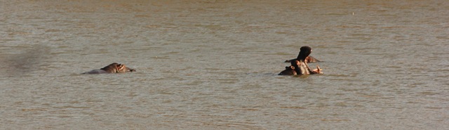 [IMG_2786%255B5%255D.jpg]