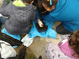 2012-01-19 15.14.43.jpg