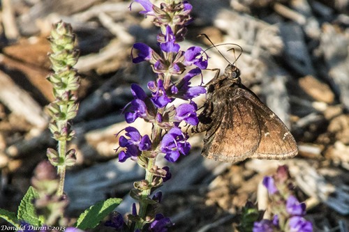 [130519_EE-3%255B4%255D.jpg]