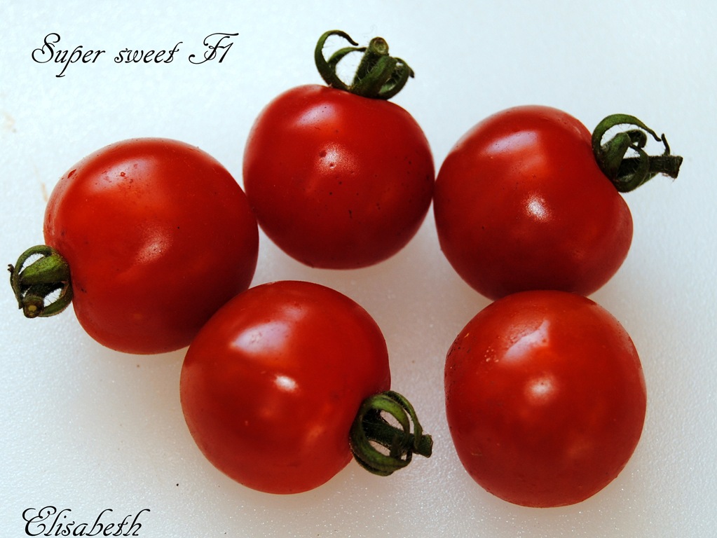 [Tomater--2011-0024.jpg]