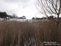 dsc05828.jpg