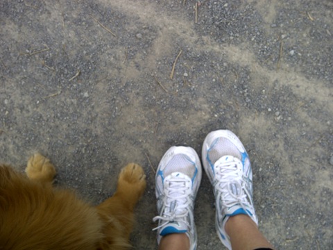 [IMG-20120409-00939%255B5%255D.jpg]