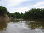 Our first pink river dolphin sighting! Hard to make out cause they don't jump out and do backflips and catch beach balls in their mouths, but thats deffo a dolphin.