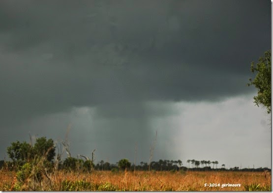 rainstorm