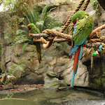 IMG_1986.JPG
