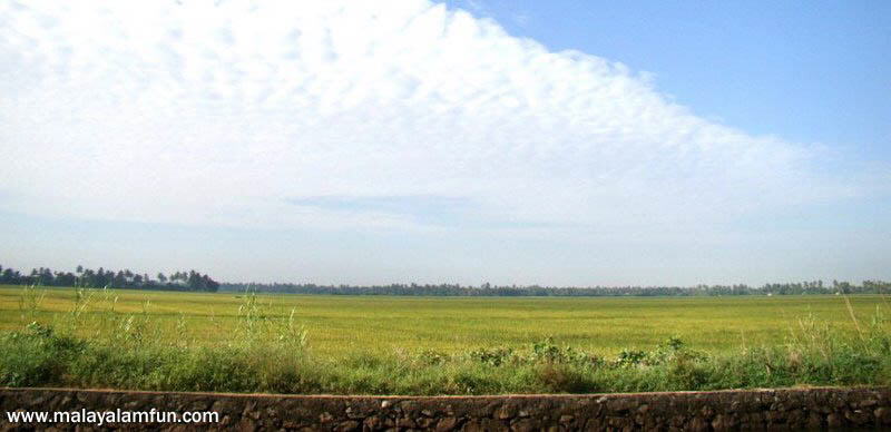 Oru Kuttanadan Yathra: The scenic view of Kerala(South India)