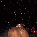 SDC12731.JPG
