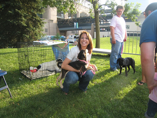 Jamie (with an adorable friend) works the adoption booth at a Sox For Strays event at U.S. Cellular Field, home of the White Sox. Jamie (with an adorable friend) works the adoption booth at a Sox For Strays event at U.S. Cellular Field, home of the White Sox.
