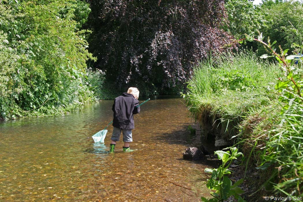 [fishing11.jpg]