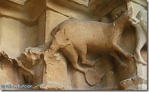 Cierva mordida por perro - Iglesia de Eraul