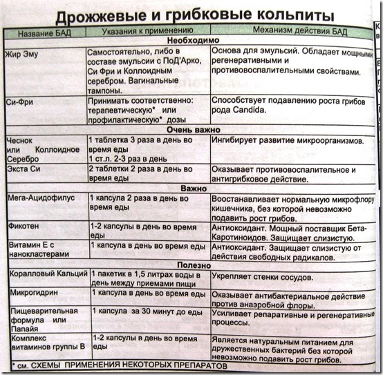 Дрожжевые и грибковые кольпиты Дрожжевые и грибковые кольпиты