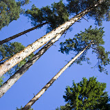 _MG_2536.jpg
