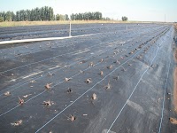 DSCF1424.JPG