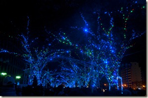 DSC_0024_1 DSC_0024_1