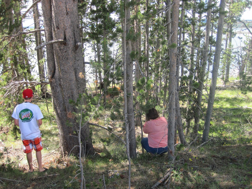 [IMG_1245%255B4%255D.jpg]