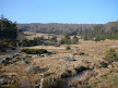 high moor