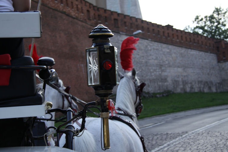 [IMG_49685.jpg]