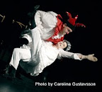 The Trail of Mr Punch 2008 12 web.jpg