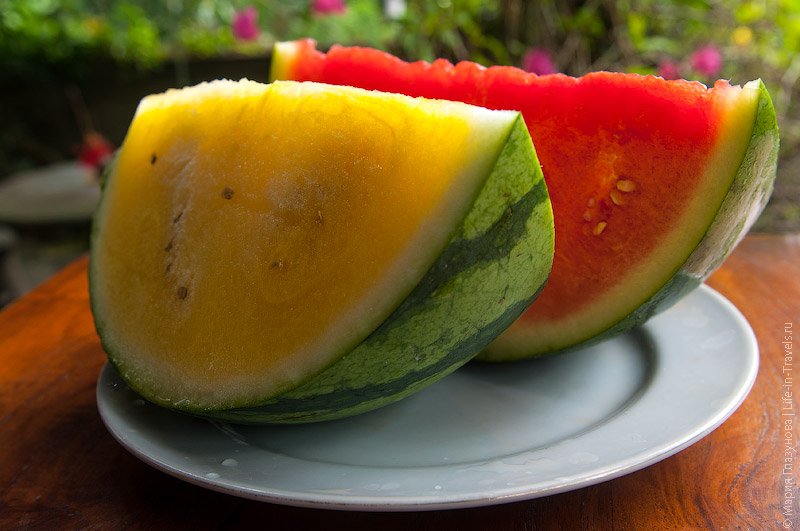 Желтый и Красный арбузы (Yellow and Red Watermelon)