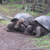 Ecuador and Galapagos