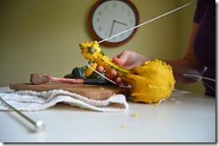 houzz pulling string through gourd amy renea a nest for all seasons