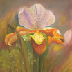 35. Orchide.jpg