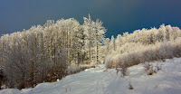 IMG_7447.jpg Photo