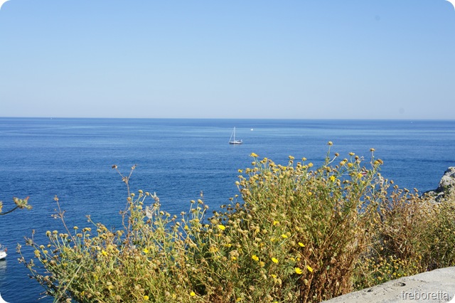 DSC00239 DSC00239