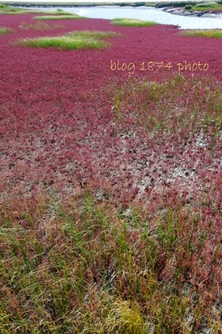 [SYG_4430%255B3%255D.jpg]