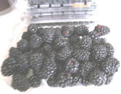 Blackberry jam 1.14.13 open cont blackberries
