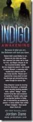 2x8_IndigoAwakening_back3_opt 2x8_IndigoAwakening_back3_opt