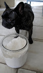 Sharkey, look at the recipe and tell me how much flour we need.