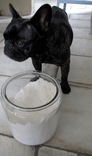 Sharkey, look at the recipe and tell me how much flour we need.
